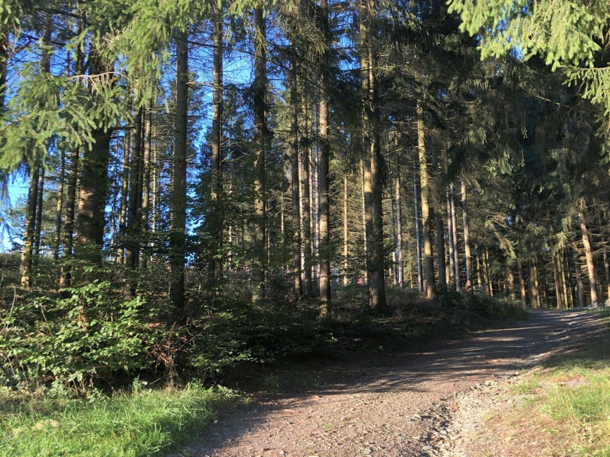 Ferienwohnungen Familie Schauerte Schmallenberg Buitenkant foto